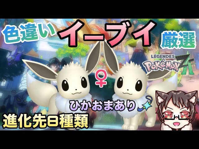 sddefault.jpg?v=690337a1