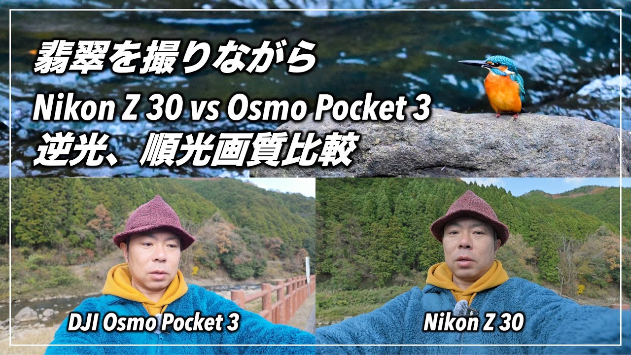 Nikon Z 30 vs Osmo Pocket 3 逆光、順光比較、合わせてカワセミを撮り