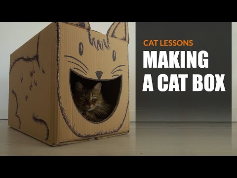 How to Make a Cat Box - YouTube