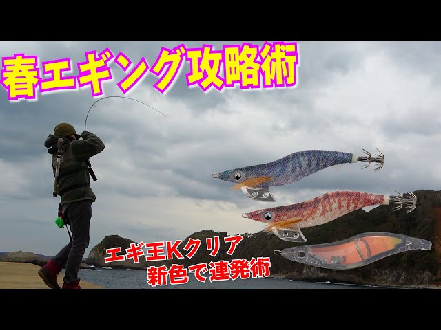 低活性、春イカエギング攻略！渋い、スレたイカにも最適なに最強エギ