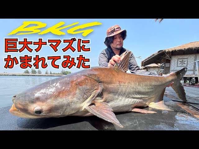 BKG] This is what happens when you get bitten by the world's