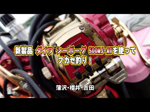 新製品ダイワシーボーグ500MJ ATを使ってフカセ釣り - YouTube