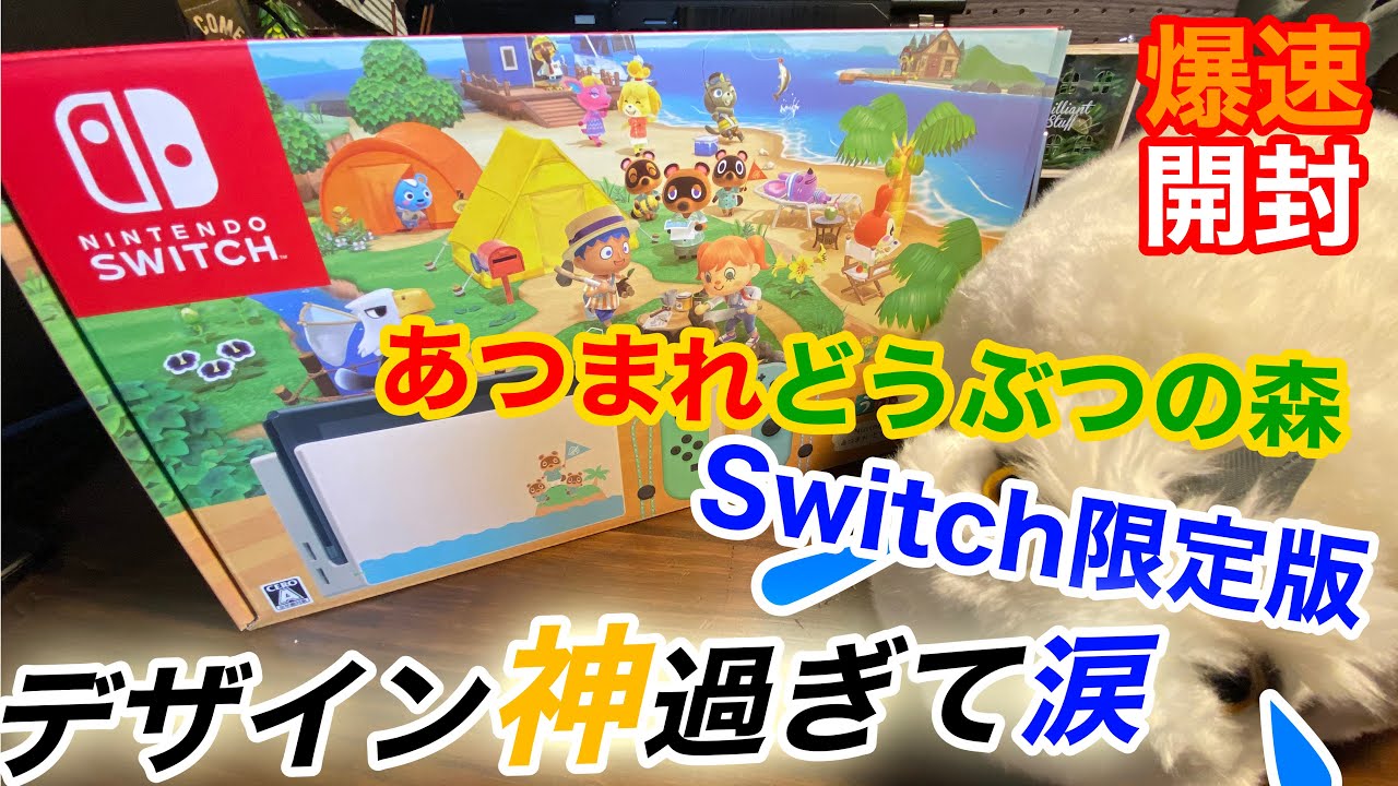あつまれどうぶつの森セット限定版Switchが神レベルのデザインで涙