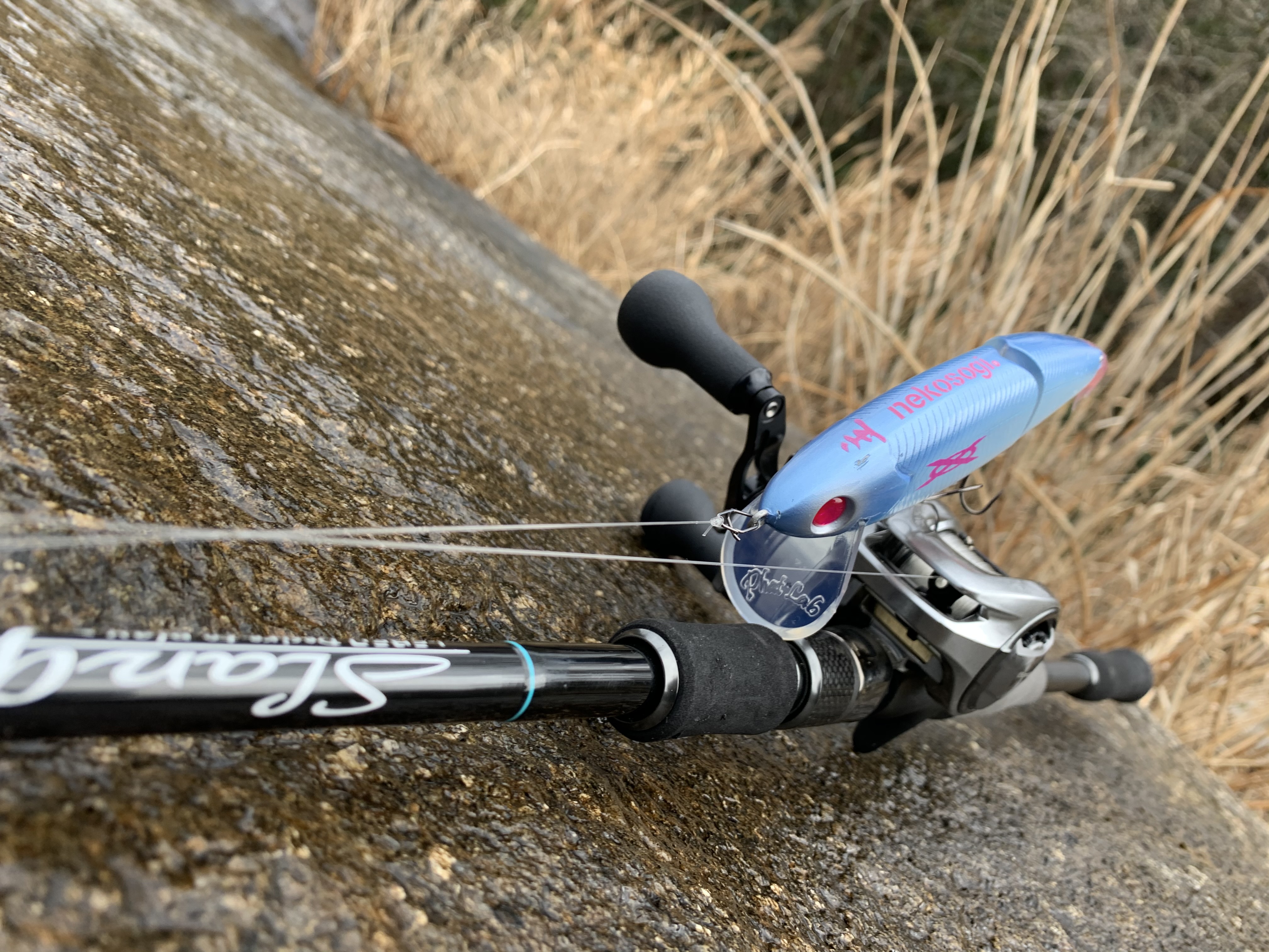 デジーノ スラング “shady(シェディ)” ソリッドティップを持つ 高