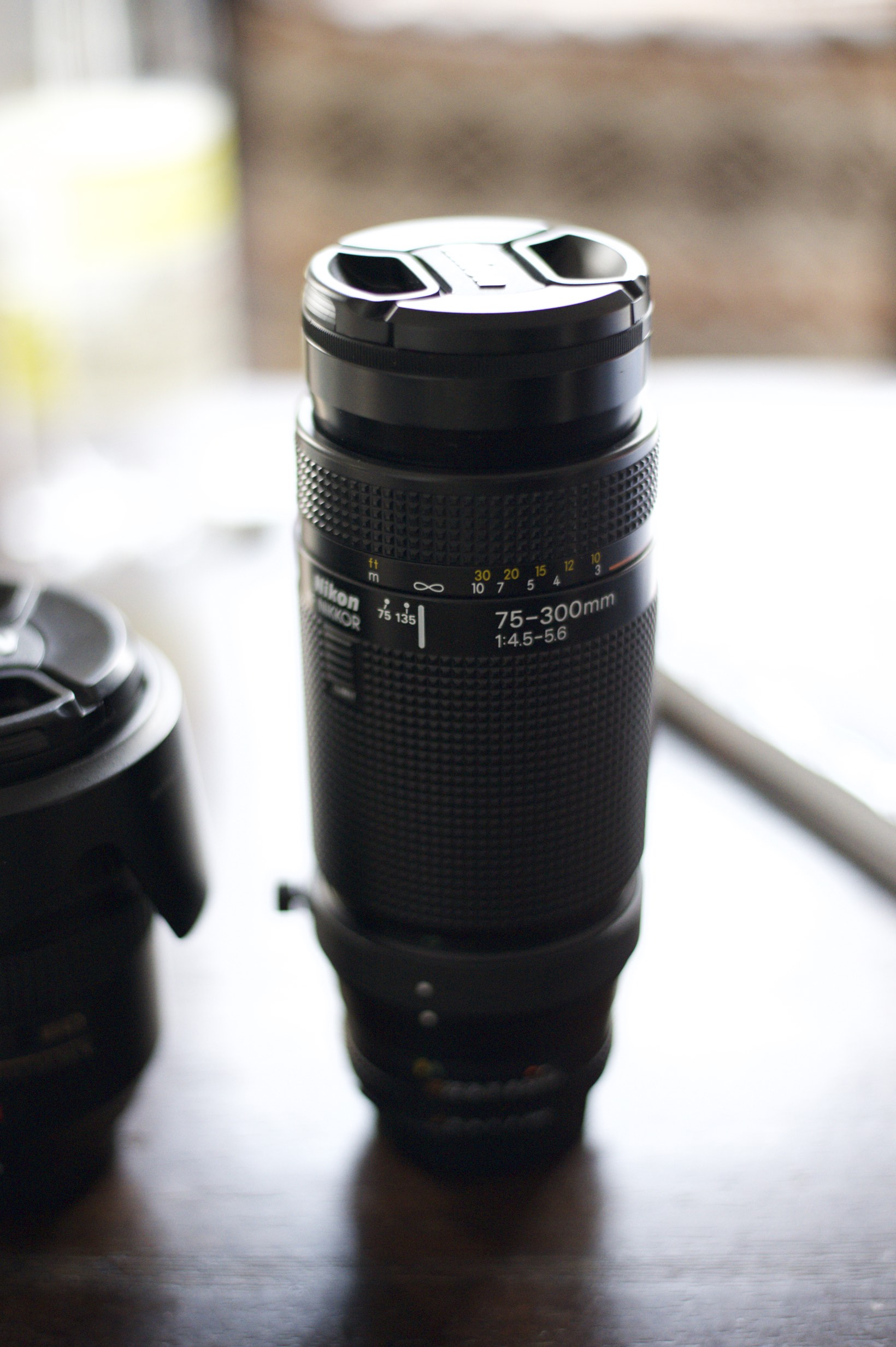 Nikon AF NIKKOR 75-300mm F4.5-5.6 | 髭のある生活