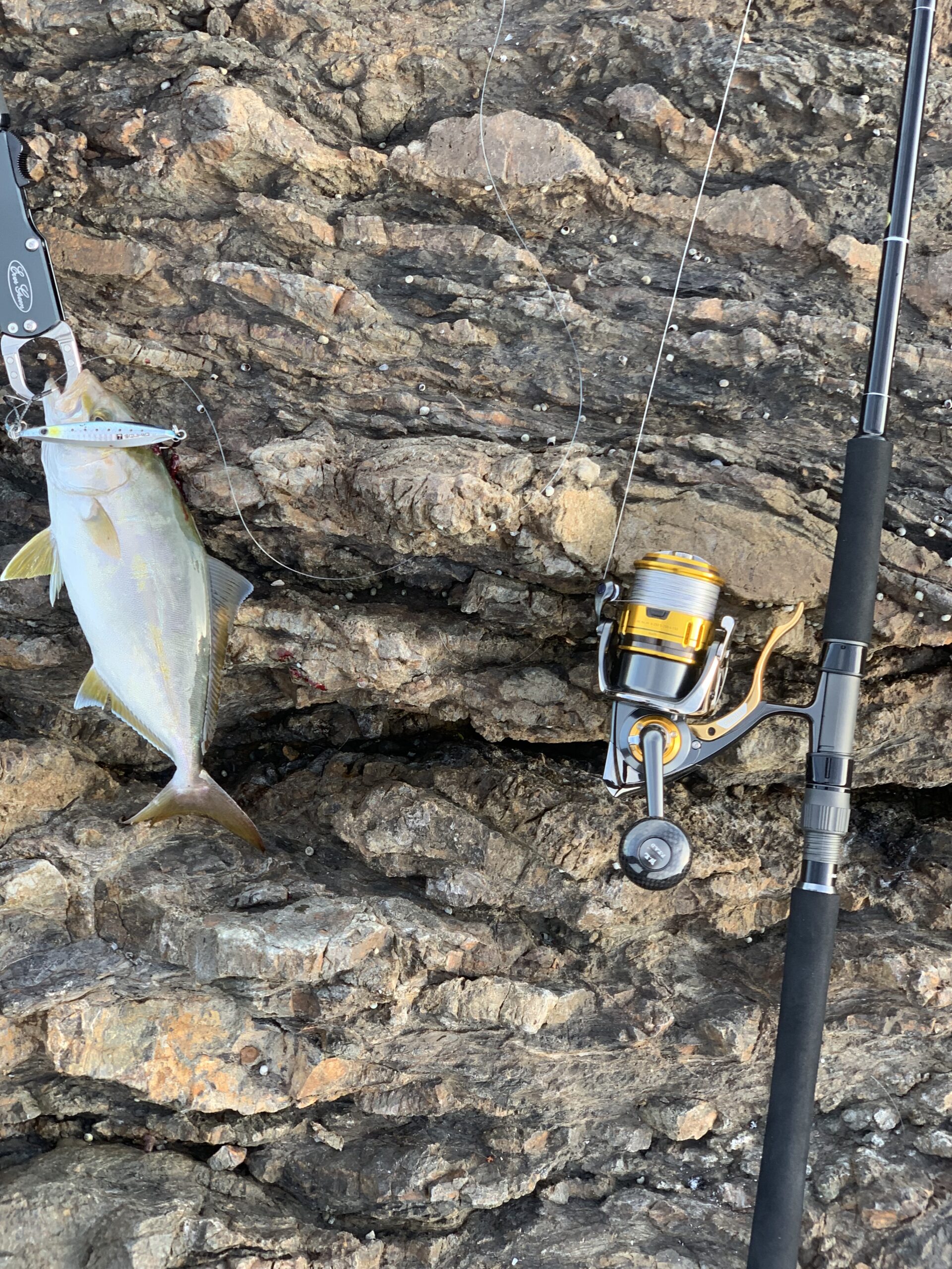 BlueSniper 103L PlugSpecial！ | SMALL FISHのブログ