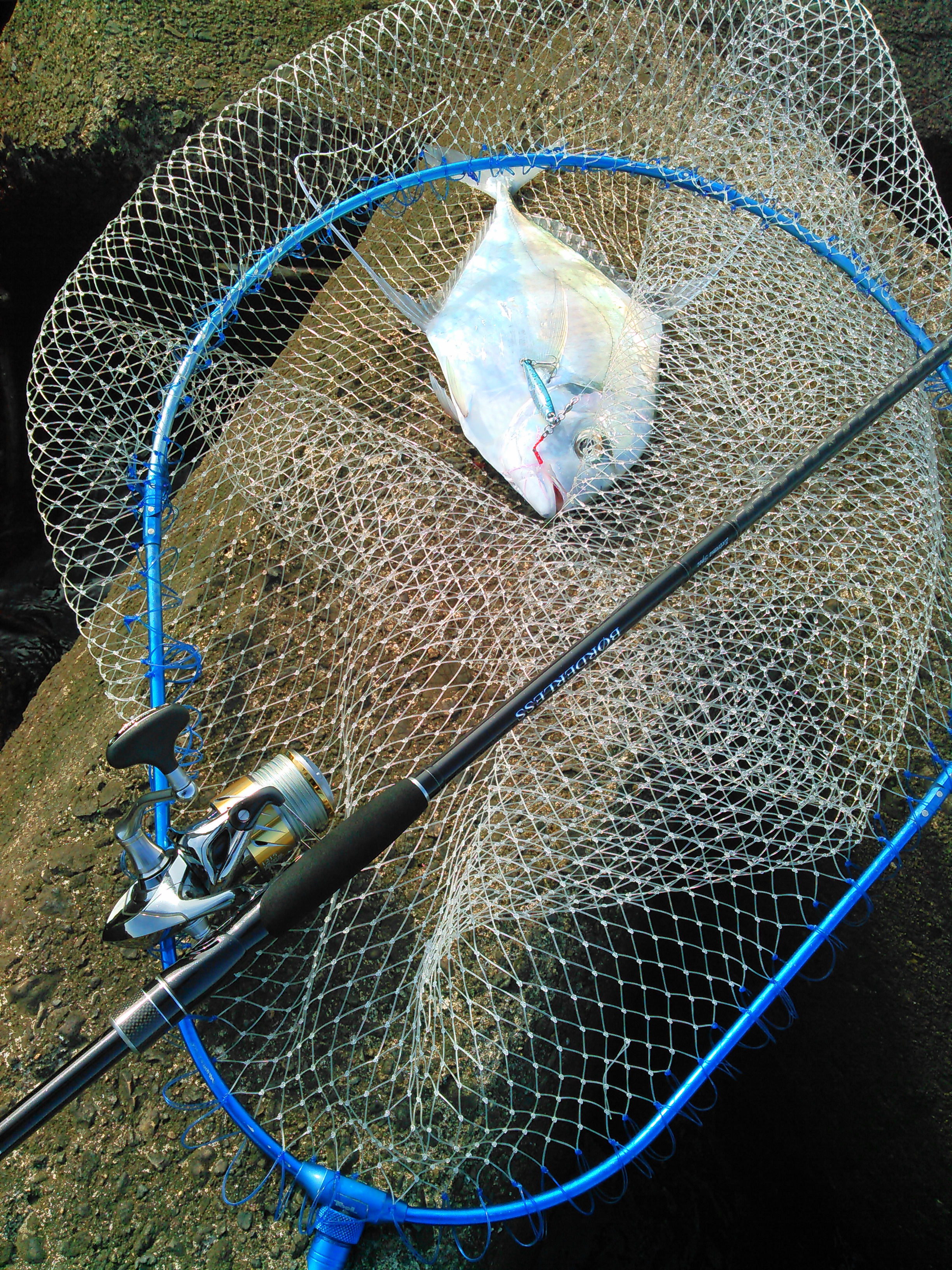 BORDERLESS 330 HH-TK | SMALL FISHのブログ