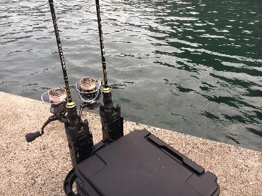 アジング入門にピッタリ！定価15,000円以内のアジング専用ロッド