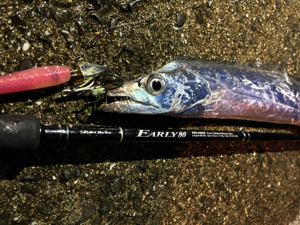 エンジョイ勢！歓喜】YAMAGABlanksスタッフイチ押しのオールマイティ