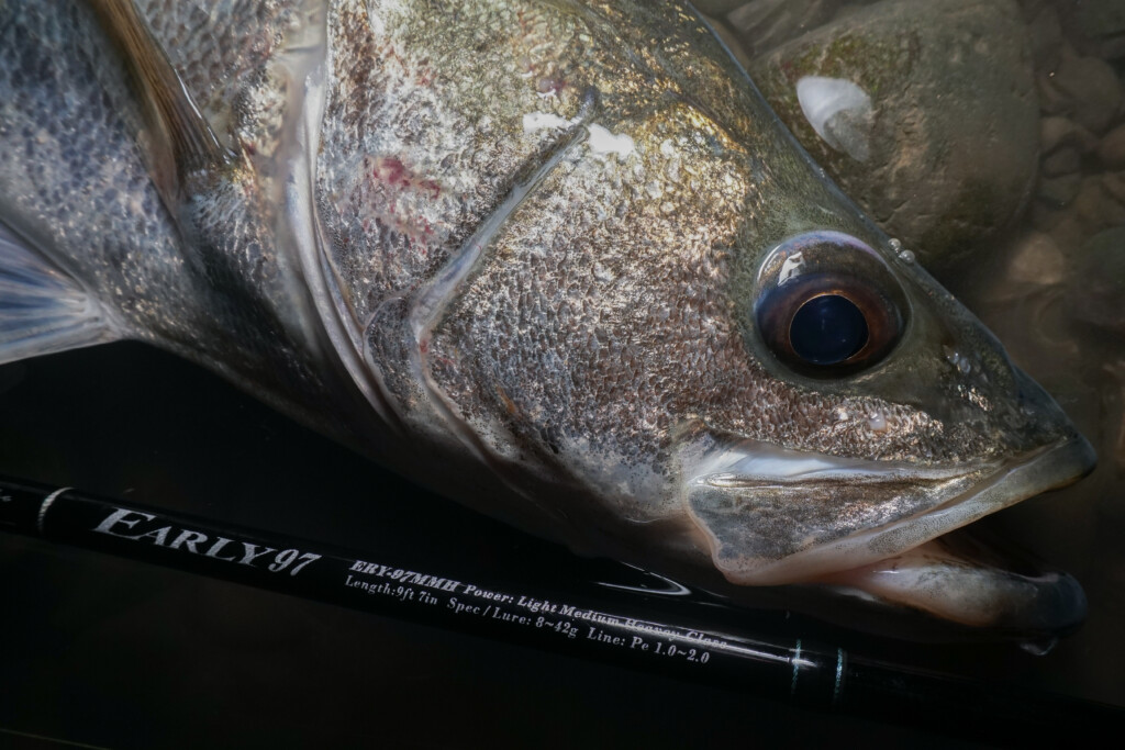 DSC02.jpg?resize=1024,683&ssl=1