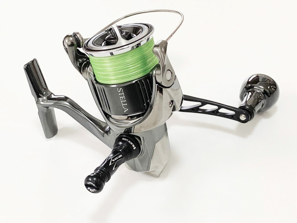 NEWキャシャロット バランサーとキャシャロットショート】人気のBLACK