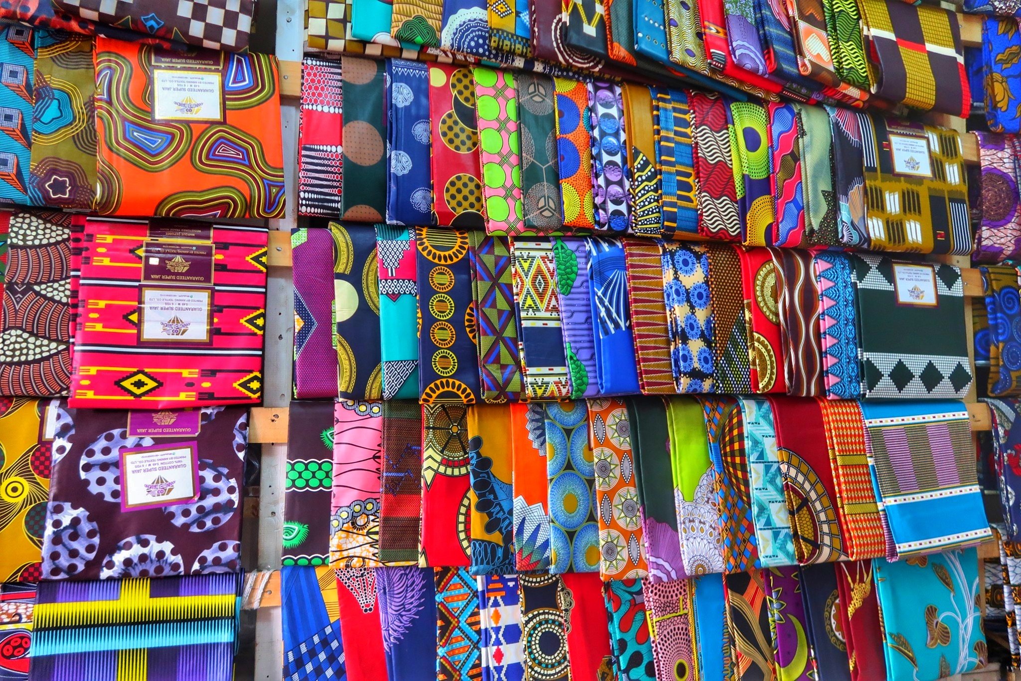 アフリカ便美！ケープフォックス（ケープギツネ）の頭骨※データ付属します