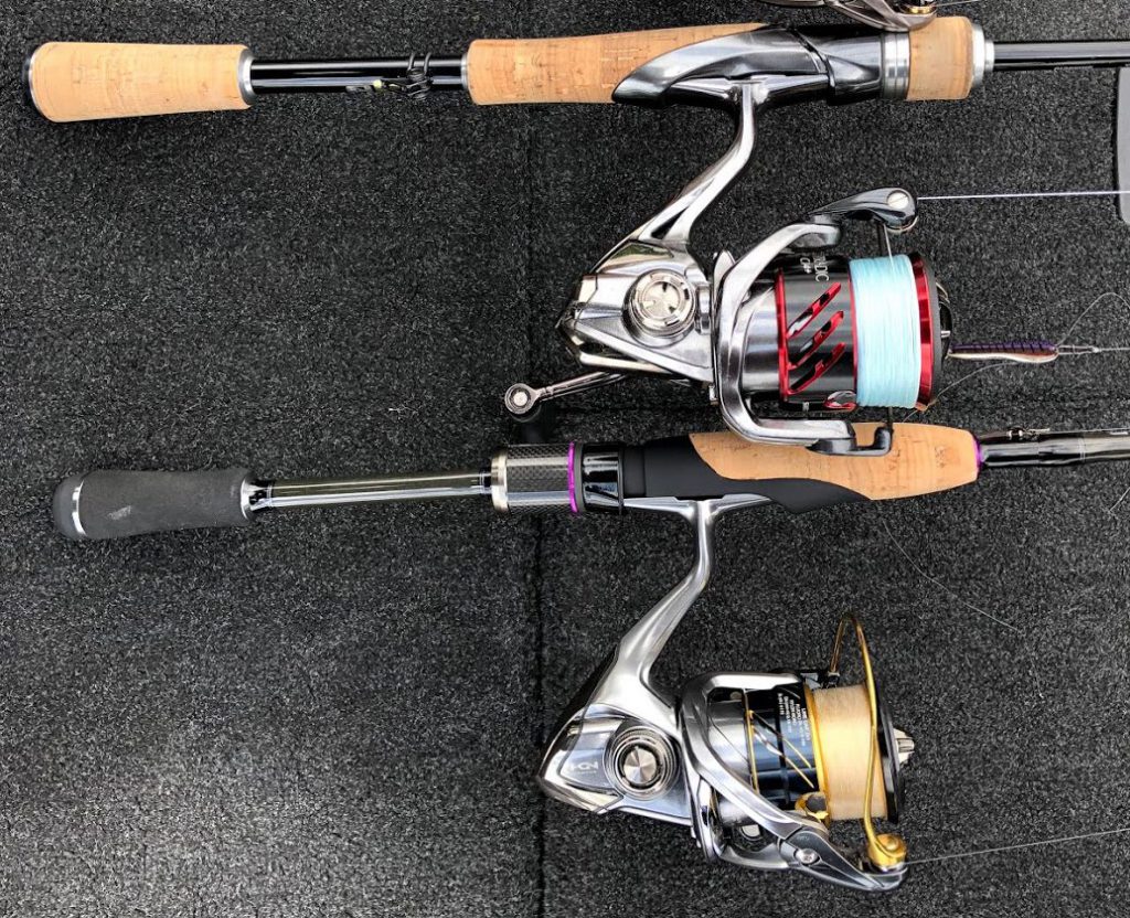 シマノスピニングリールC2500Sと2500Sで迷ったら読む記事。 | ikahime