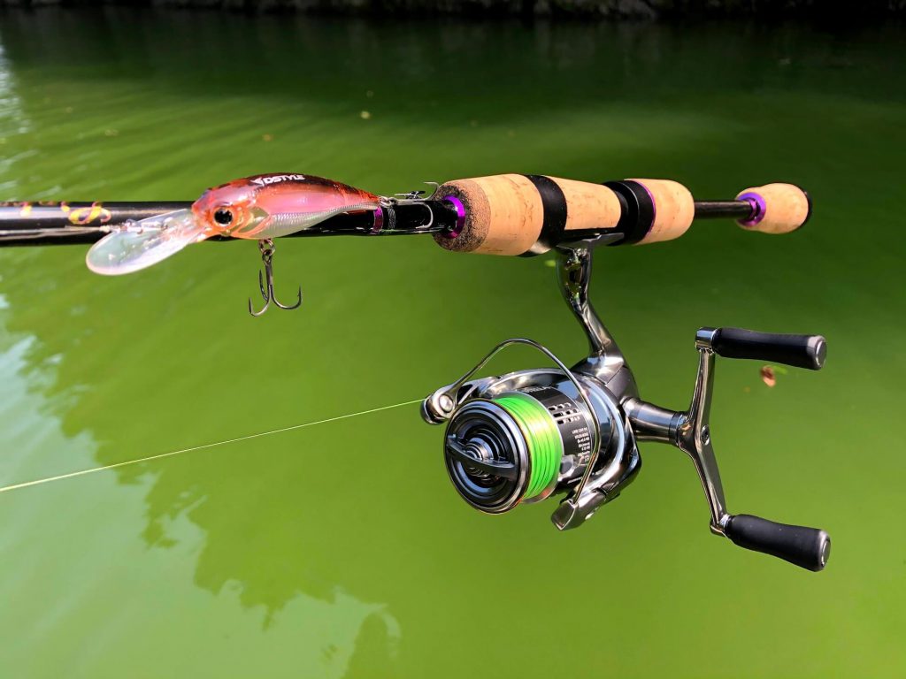 18ステラ 1000SSSDH スペアスプール付 エリアトラウト アジング 18