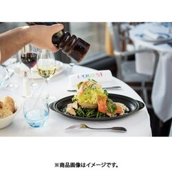 ヨドバシ.com - ストウブ STAUB シャローオーバル ホットプレート