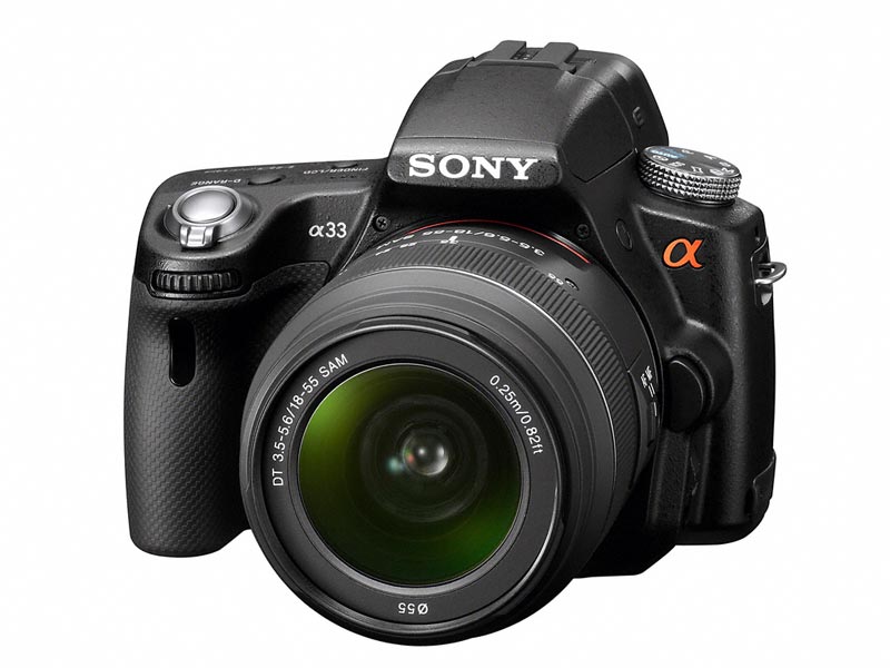 国内向け生産終了を受けてか「α33」が人気に：デジタルカメラ総合販売