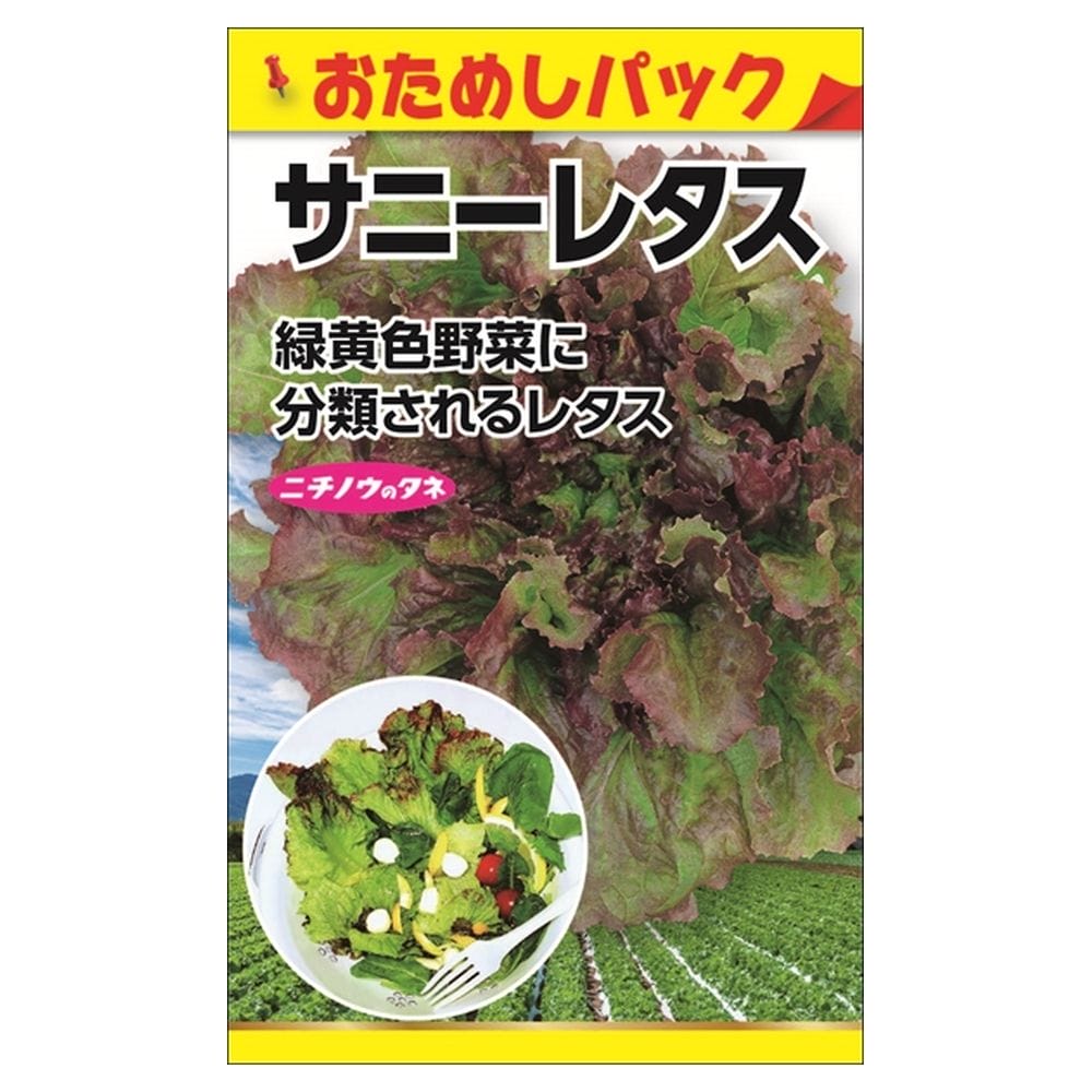 楽天市場】レタス 【サニーレタス (おためしパック)】 種・小袋 （0.5