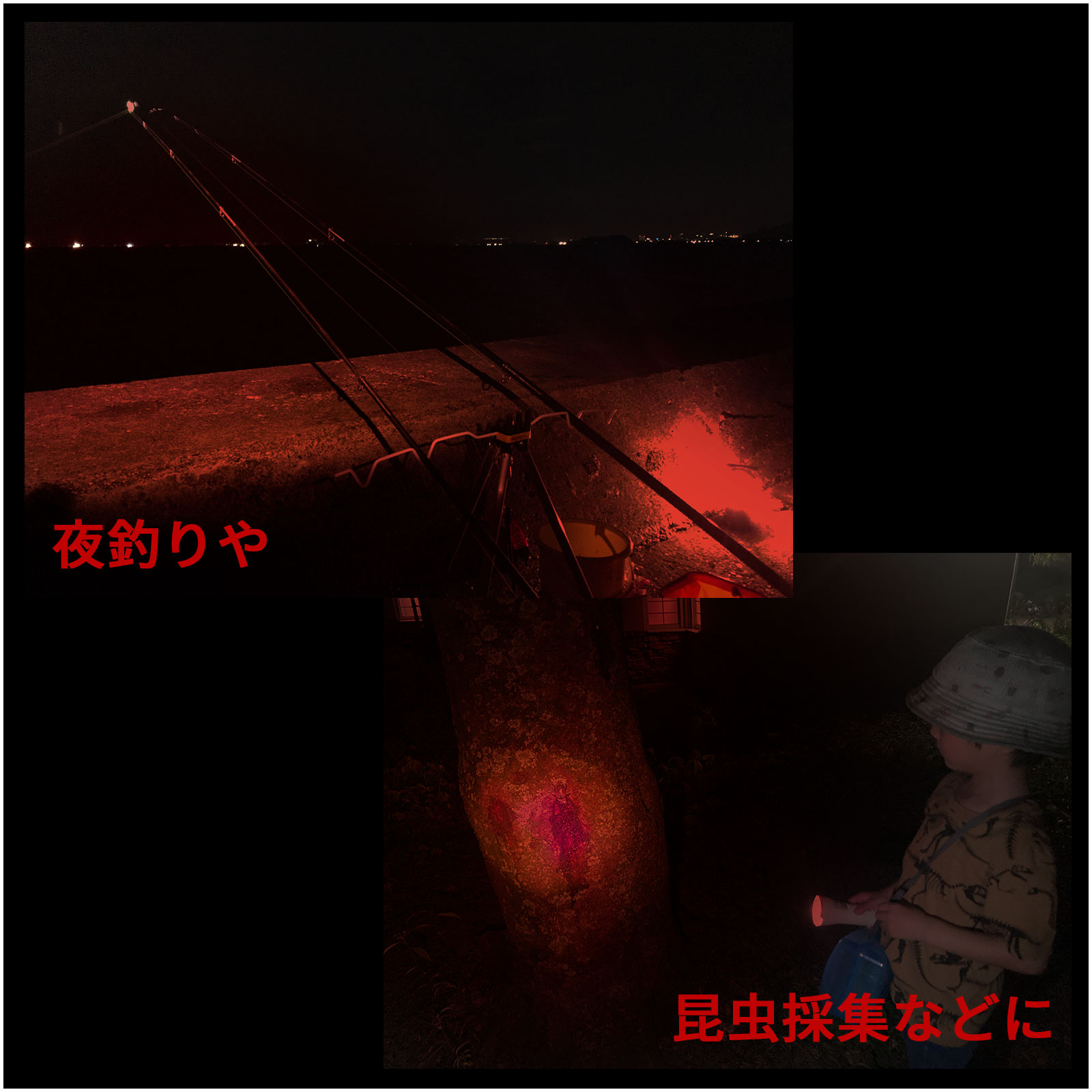 楽天市場】【本日ポイント最大8倍！※要エントリー】 天体観測 夜間の