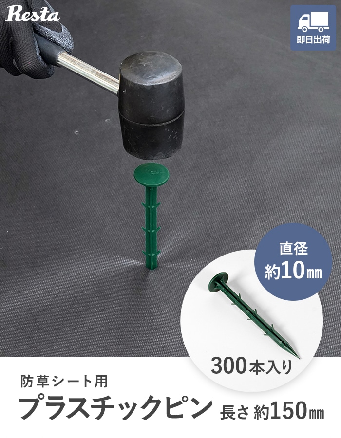 楽天市場】防草シート ピン 14.5cm 300本入 押さえピン プラスチック