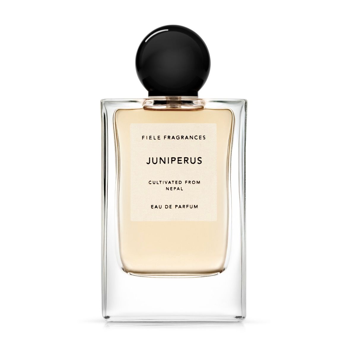 FIELE FRAGRANCES - 【残りわずか】Eau De Parfum 50ml(POGOSTEMON