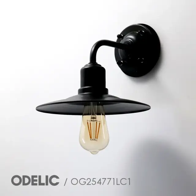 エクステリアライト 屋外 照明 オーデリック OG254771LC1 LED電球 電球