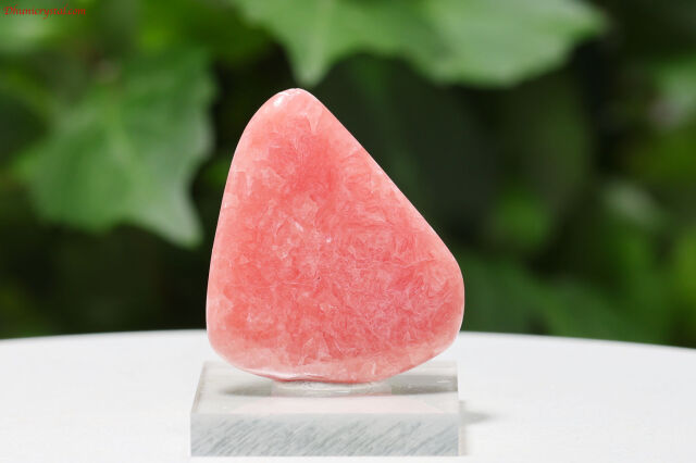 インカローズ(A613)