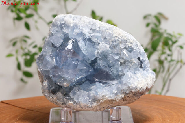 セレスタイト原石/天青石(W76)