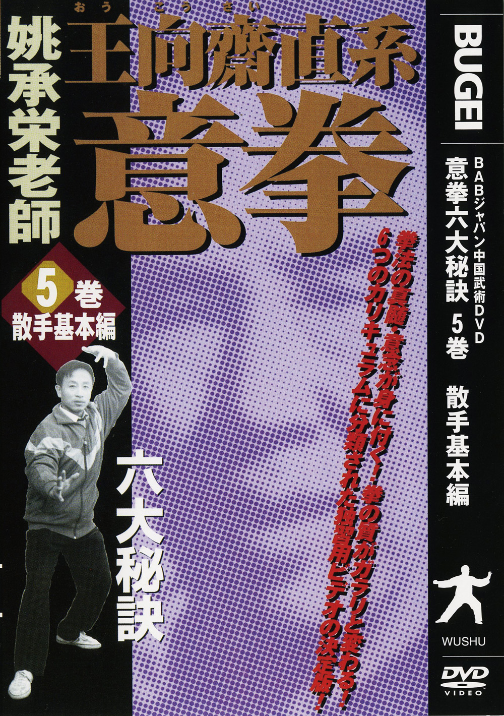 DVD 意拳 六大秘訣 第6巻