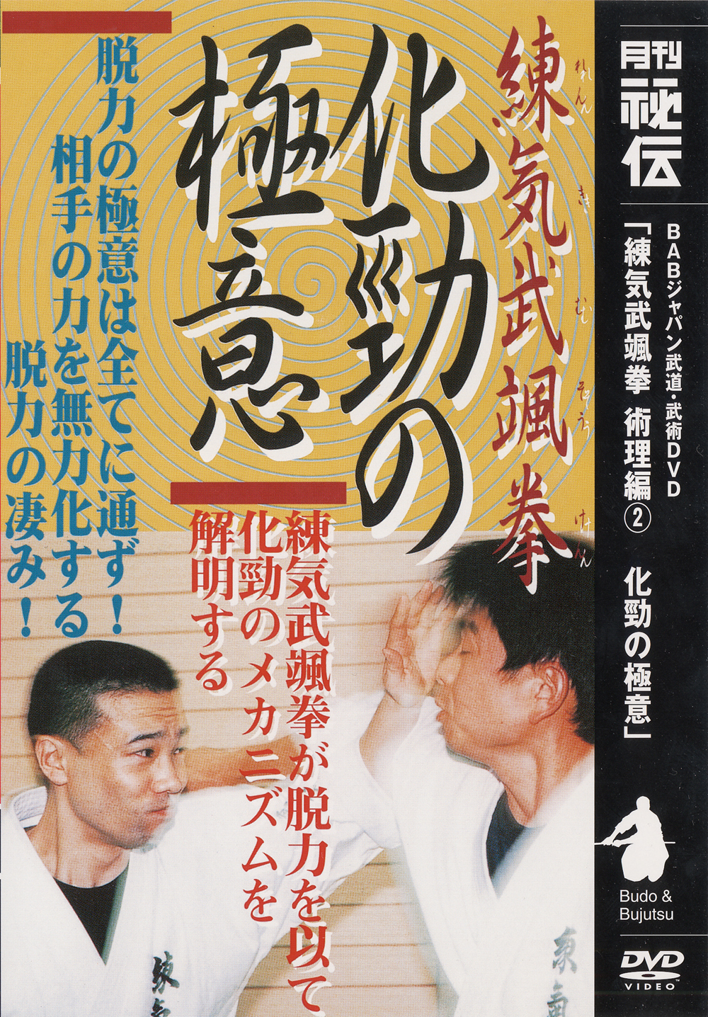 DVD 練気武颯拳 重みの極意 第1巻