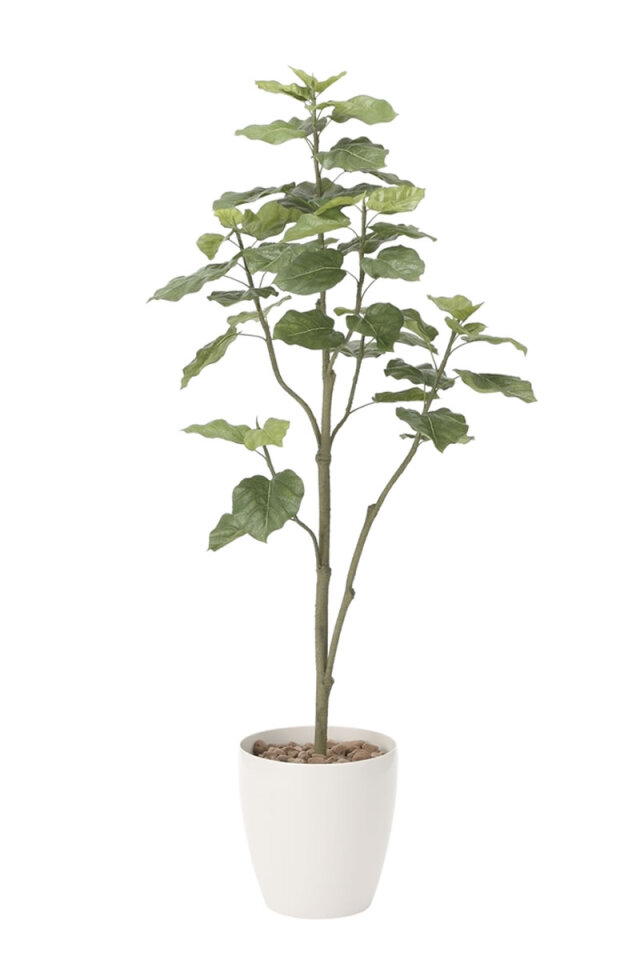 光触媒 光の楽園マウンテンアッシュ 高さ 1.6m【インテリア フェイク