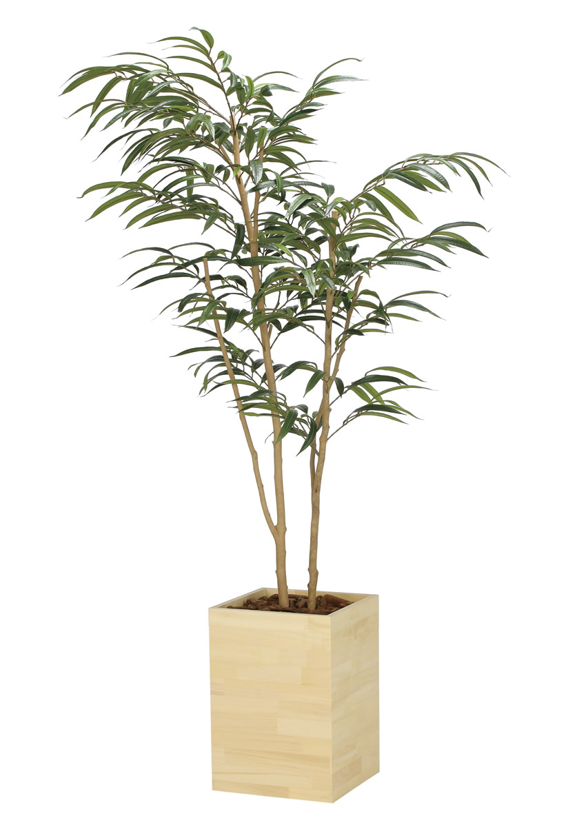 光触媒 光の楽園 ウッドボックスショウナンゴム1.8m【インテリア