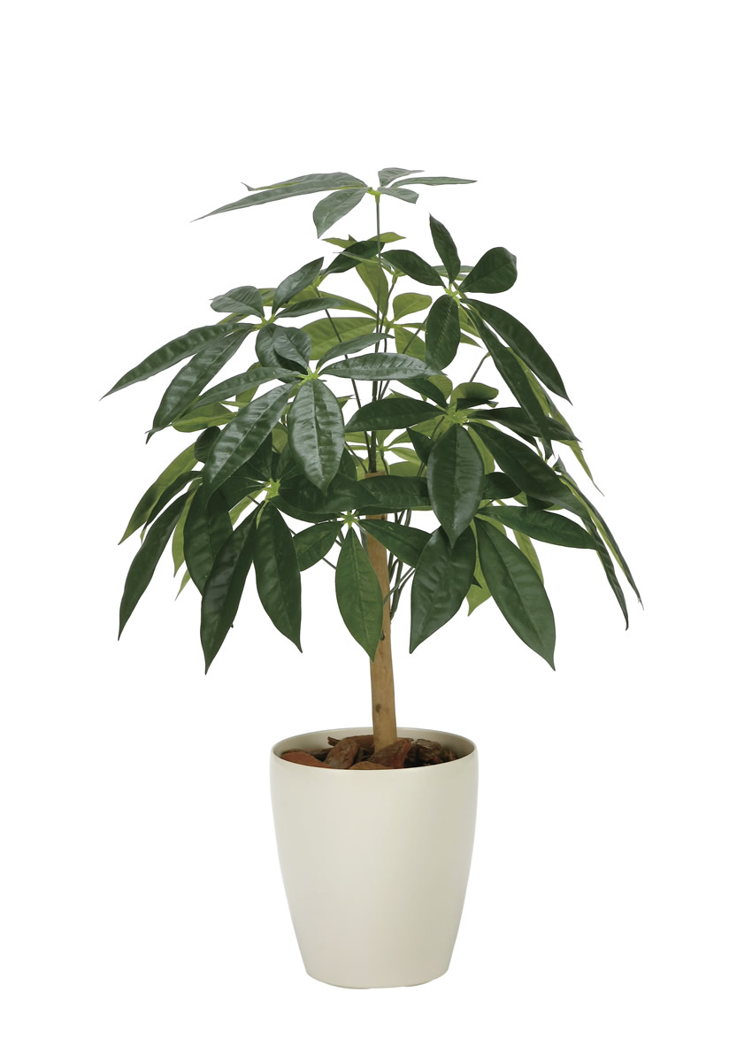 光触媒 光の楽園 パキラリーフツリー72【インテリア フェイクグリーン