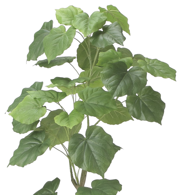 光触媒 光の楽園 ツイストウンベラータ1.6【インテリア フェイク