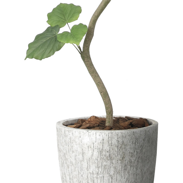 光触媒 光の楽園 ナチュラルウンベラータ1.9（組立式）【インテリア