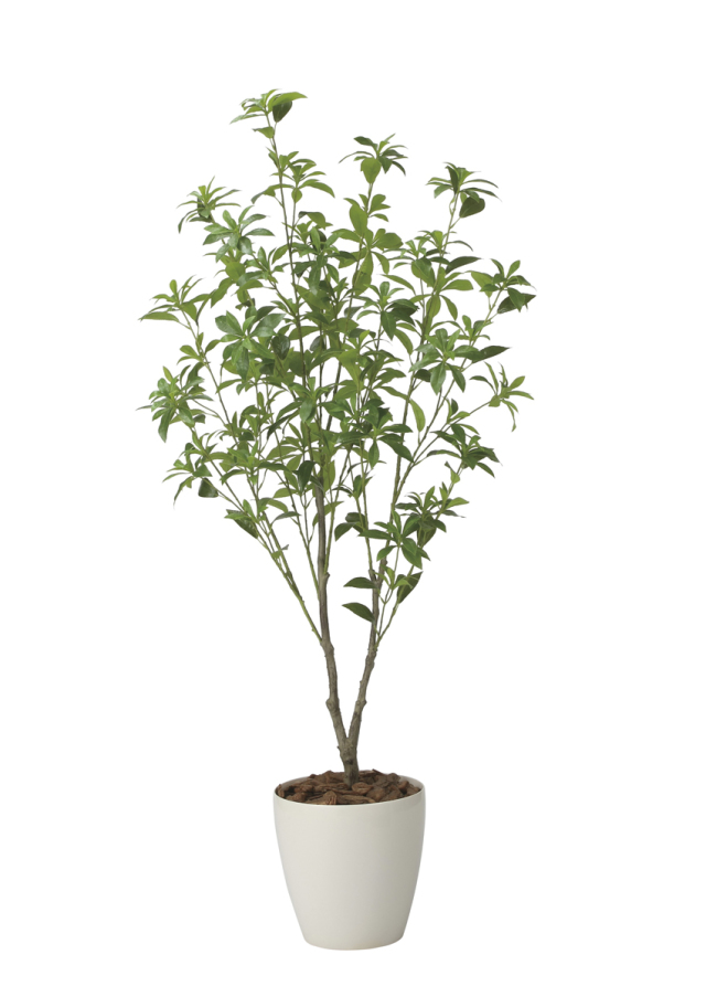 光触媒 光の楽園 インテリアベンジャミン1.6m【インテリア フェイク