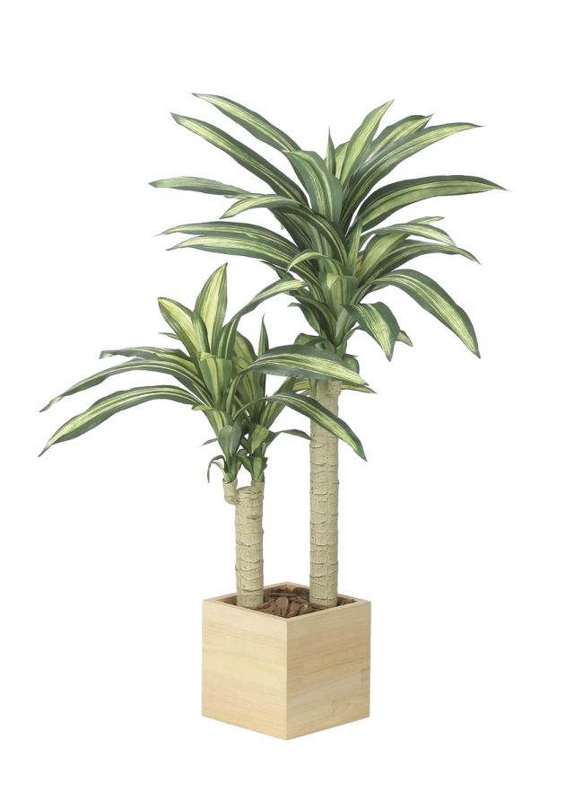 光触媒 人工観葉植物 幸福の木（ドラセナ）【光の楽園】