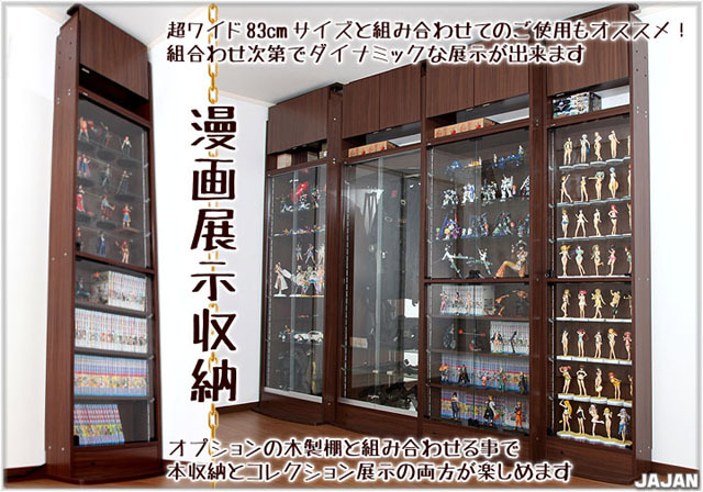 ☆LED照明付き☆ 幅55cm/鍵付 コレクションラック改 汎用29cm奥行