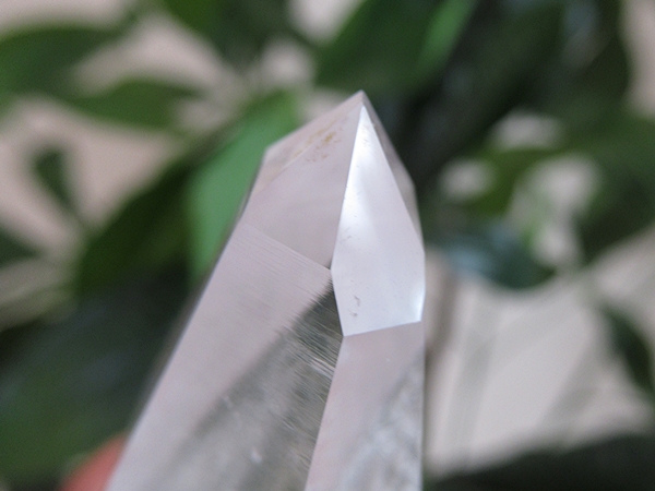 コロンビア産 レムリアンシードクリスタル 最高品質 水晶 原石