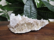 サンタンデール産（コロンビア）