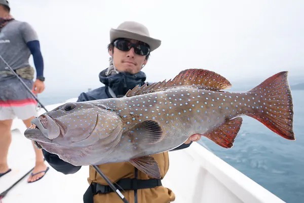 トランスセンデンス（TRANSCENDENCE） ミストラル-XX 25【シーバス