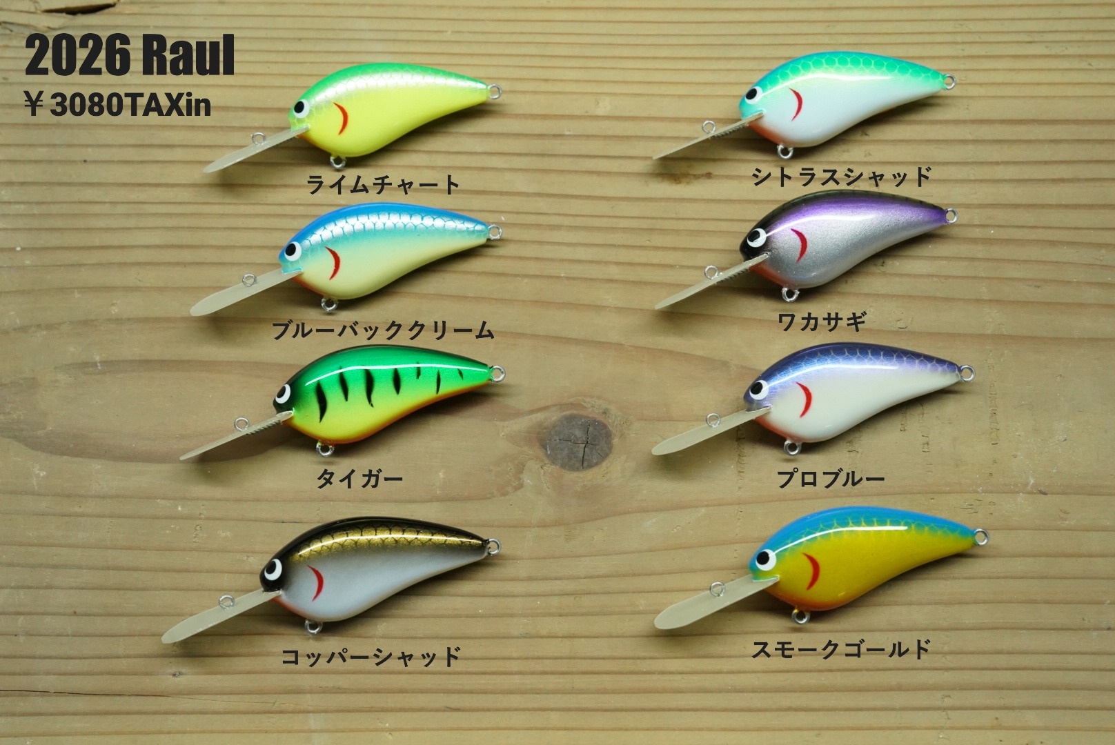 2026 ラウール スキルフル