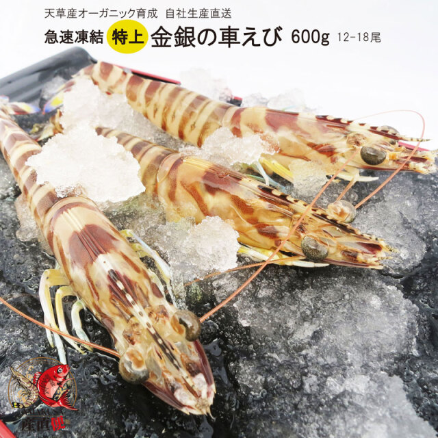 AMAKUSA産直市場便】急速凍結車海老＜送料無料！贈答用に最適＞