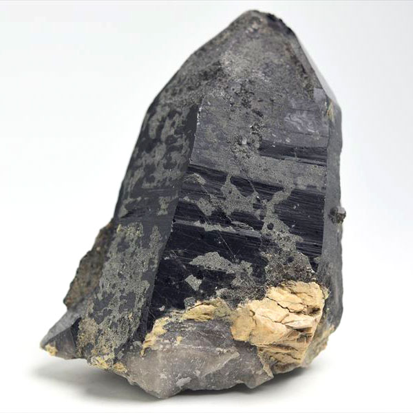 天然黒水晶 モリオンクラスターを卸価格で販売中 最強の魔除け石｜原石