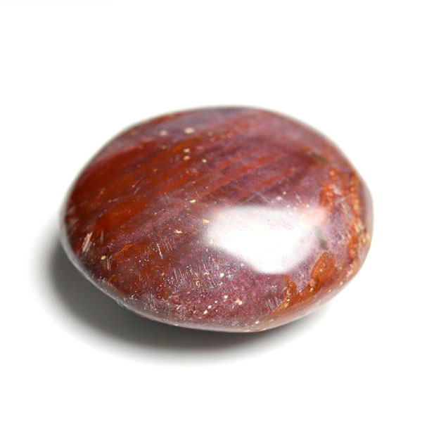 珪化木（ペトリファイドウッド）