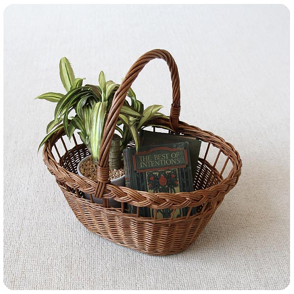 イギリス アンティーク ビスケットバレル オーク K-768