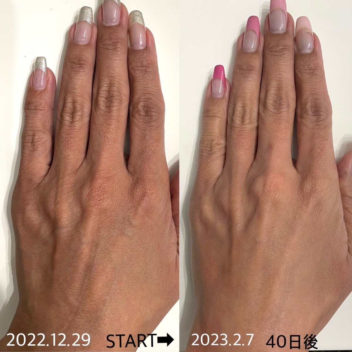 パラドックステラクリーム　120g Paradox(パラドックス)テラクリーム | Paradox Store by silkyg