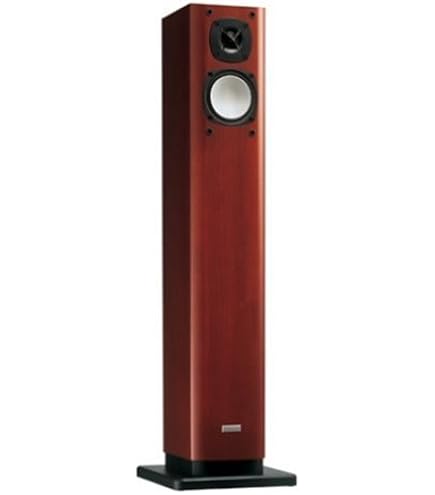 Amazon.co.jp: ONKYO 2ウェイ・スピーカーシステム (1台)D-309E(D