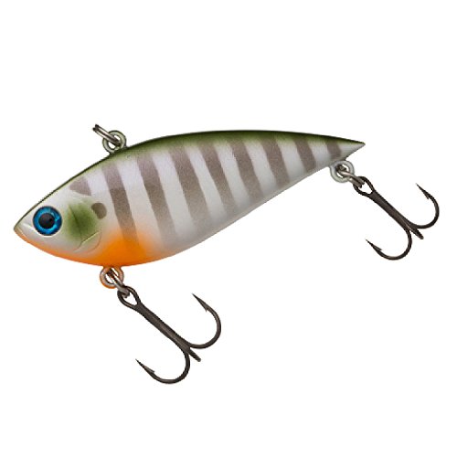 TDバイブは永遠に不滅です！色褪せない実力派「TDバイブレーション