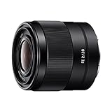 超オススメ】広角撒き餌レンズ SEL28F20 レビュー (SONY FE) - Mana