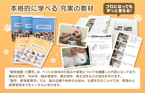 通信】キャットケアスペシャリスト講座 | ヒューマンアカデミー（通信